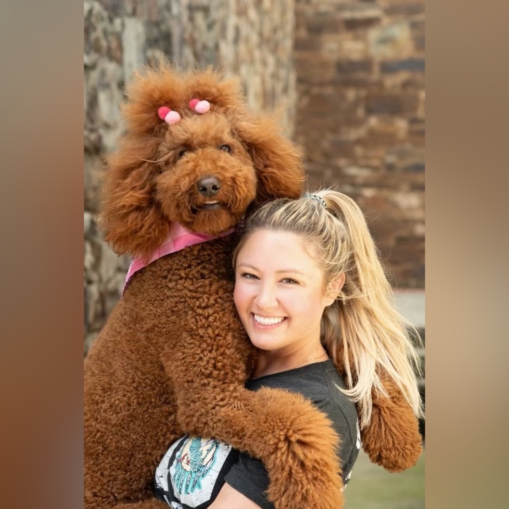 Meet your Posher, Constance